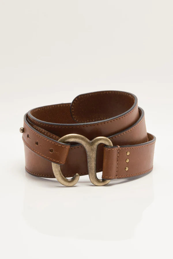 Arlo Hip Belt