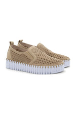 Tulip Platform - Latte