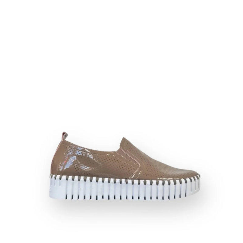 Tulip Patent Platform - Milk Creme