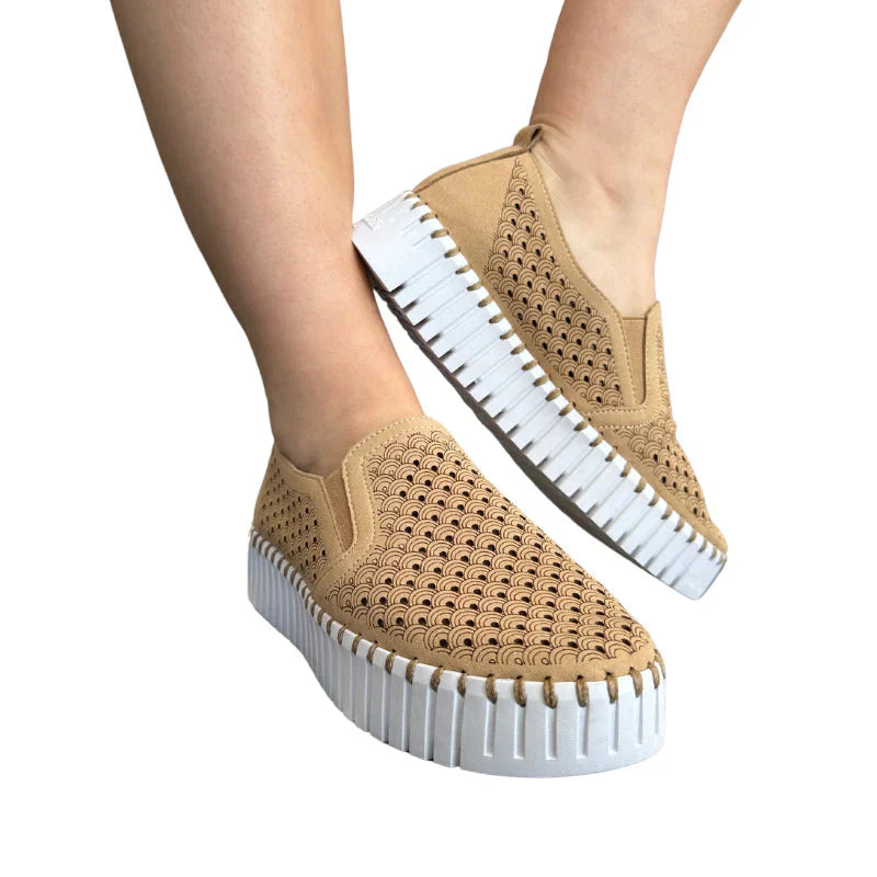 Tulip Platform - Latte
